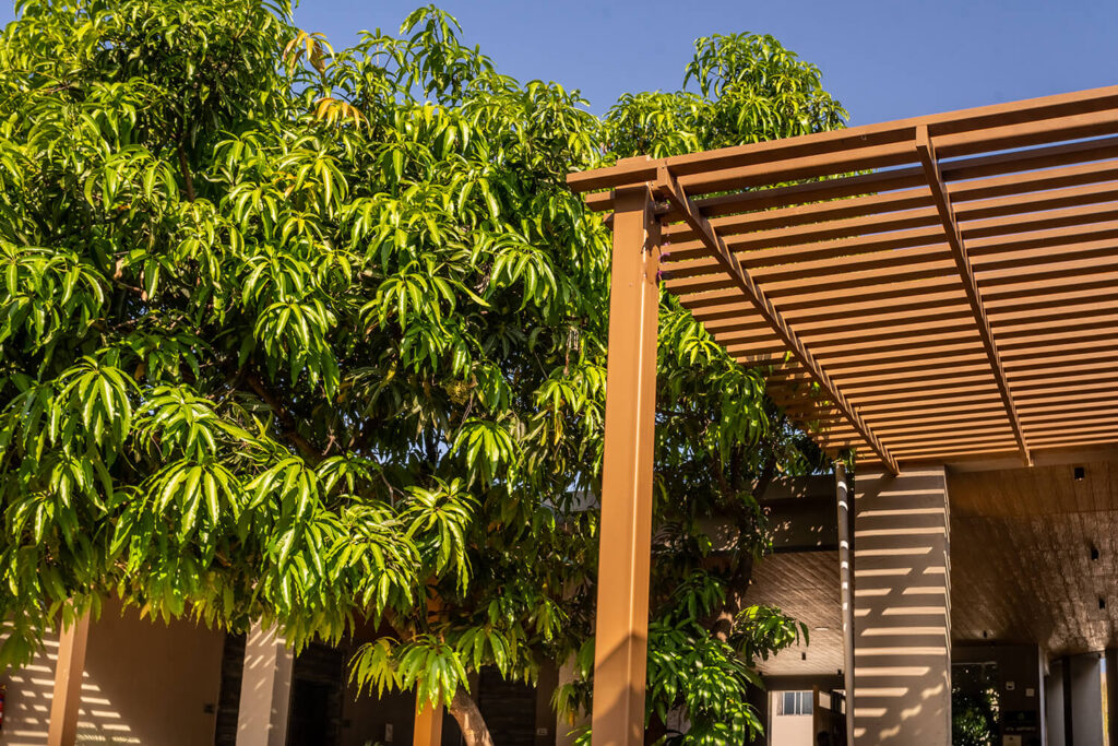 Mango Resort at Talala