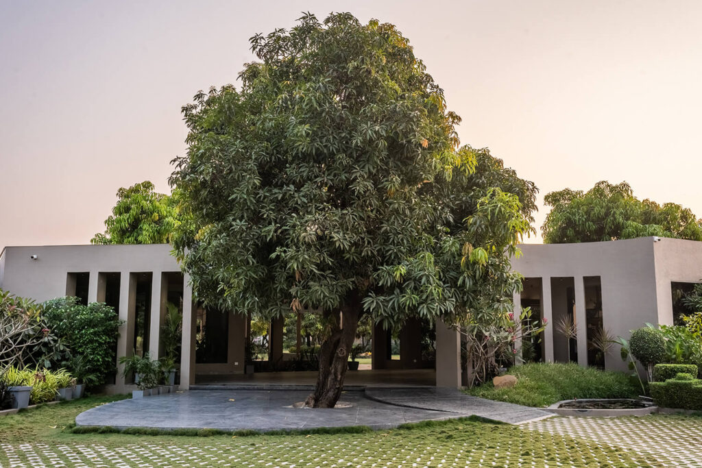 Entrance Admin Building of Mango Resort